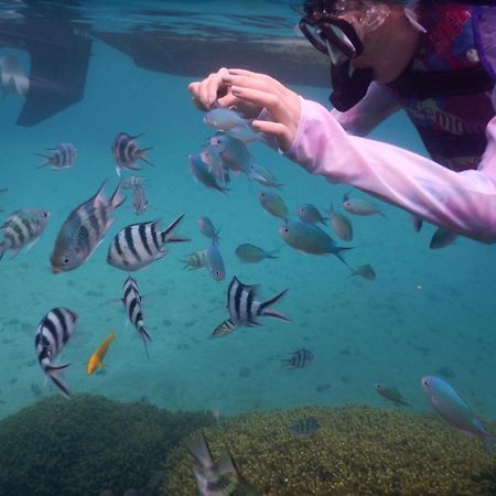 ゲストハウス備瀬の海 외부 사진