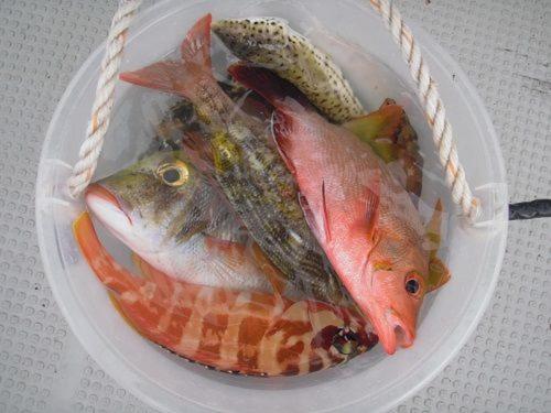 ゲストハウス備瀬の海 외부 사진