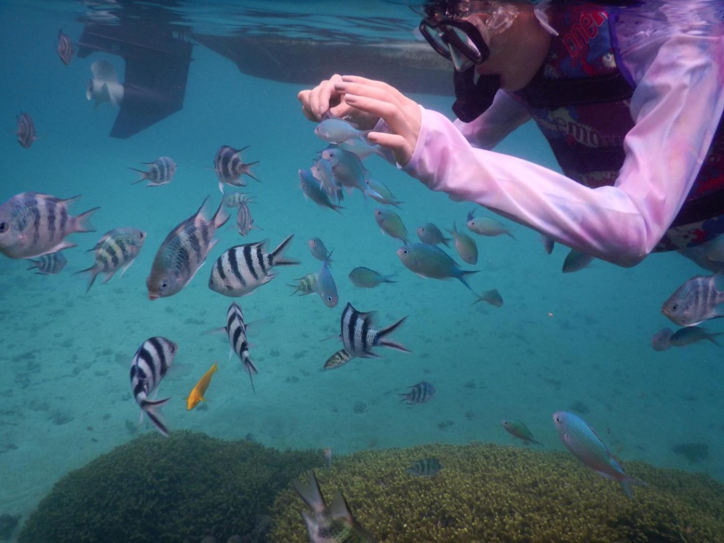 ゲストハウス備瀬の海 외부 사진
