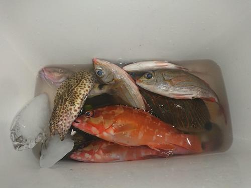 ゲストハウス備瀬の海 외부 사진